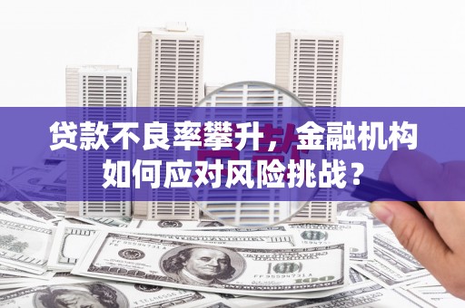 三穗贷款不良率攀升，金融机构如何应对风险挑战？