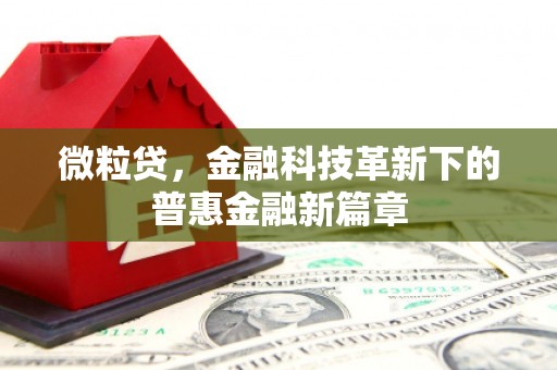 三穗微粒贷，金融科技革新下的普惠金融新篇章