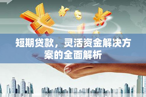 三穗短期贷款，灵活资金解决方案的全面解析