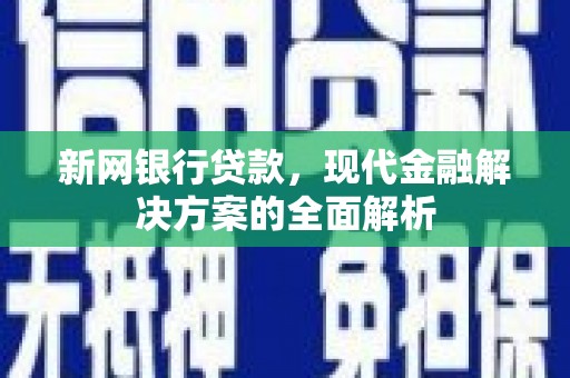 三穗新网银行贷款，现代金融解决方案的全面解析