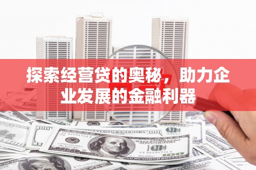三穗探索经营贷的奥秘，助力企业发展的金融利器