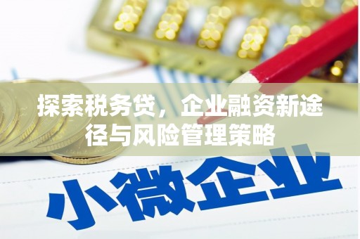 三穗探索税务贷，企业融资新途径与风险管理策略