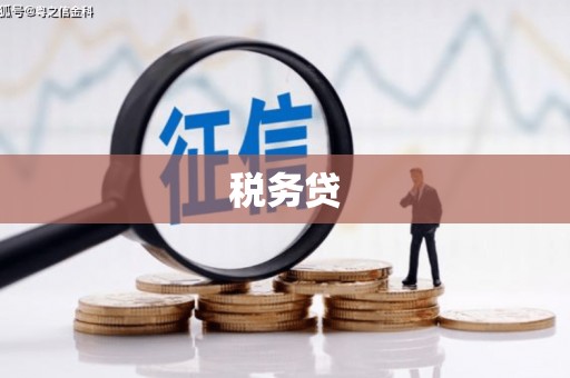 三穗税务贷