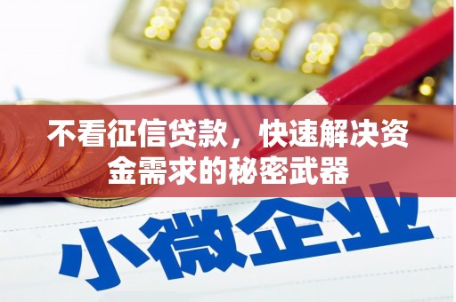 三穗不看征信贷款，快速解决资金需求的秘密武器