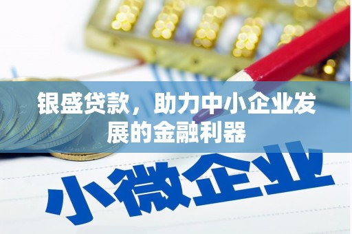 三穗银盛贷款，助力中小企业发展的金融利器