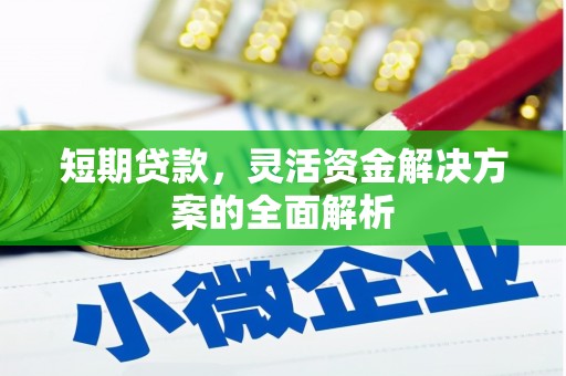 三穗短期贷款，灵活资金解决方案的全面解析