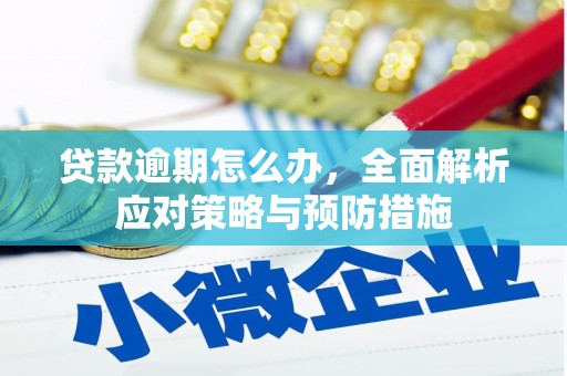三穗贷款逾期怎么办，全面解析应对策略与预防措施