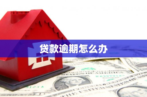 三穗贷款逾期怎么办