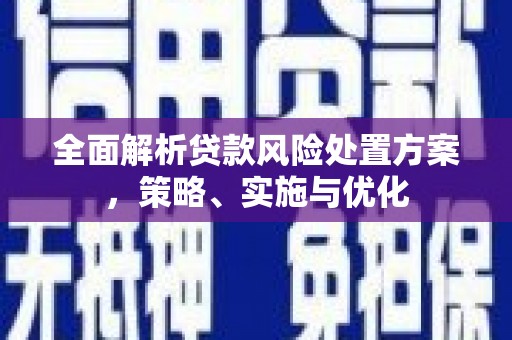 三穗全面解析贷款风险处置方案，策略、实施与优化