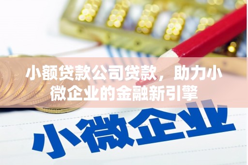三穗小额贷款公司贷款，助力小微企业的金融新引擎