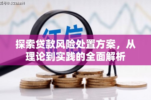 三穗探索贷款风险处置方案，从理论到实践的全面解析