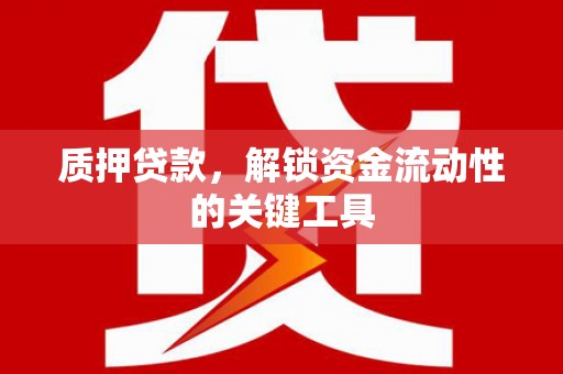 三穗质押贷款，解锁资金流动性的关键工具