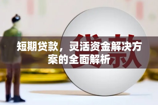 三穗短期贷款，灵活资金解决方案的全面解析