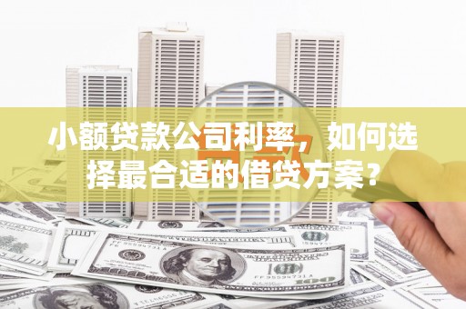 三穗小额贷款公司利率，如何选择最合适的借贷方案？