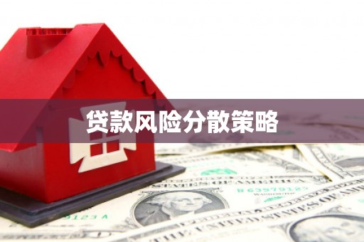 三穗贷款风险分散策略