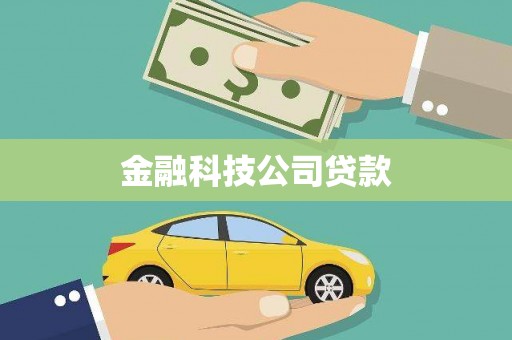 三穗金融科技公司贷款
