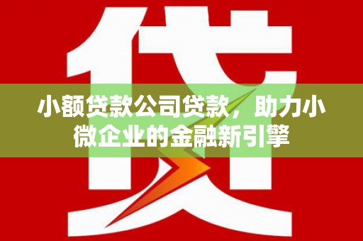 三穗小额贷款公司贷款，助力小微企业的金融新引擎