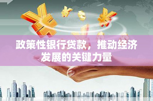 三穗政策性银行贷款，推动经济发展的关键力量