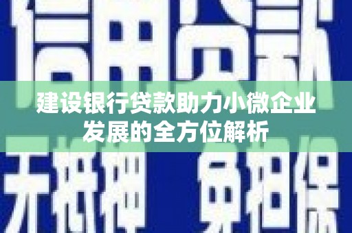 三穗建设银行贷款助力小微企业发展的全方位解析