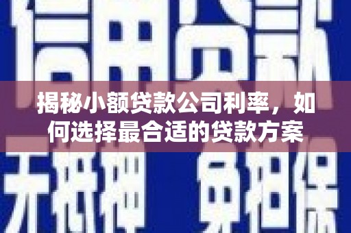 三穗揭秘小额贷款公司利率，如何选择最合适的贷款方案