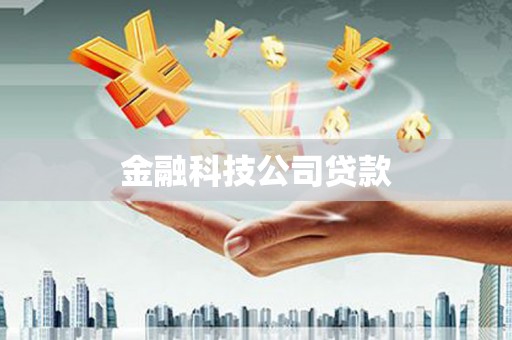 三穗金融科技公司贷款