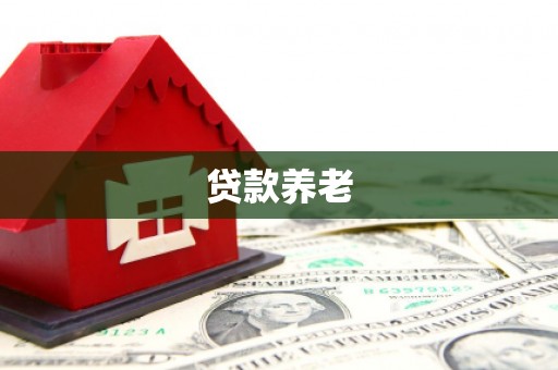三穗贷款养老