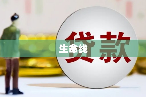 三穗生命线