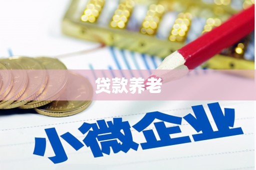 三穗贷款养老