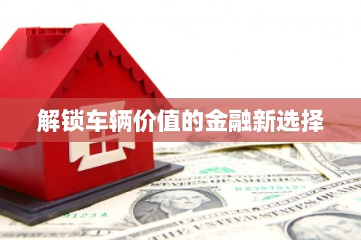 三穗解锁车辆价值的金融新选择