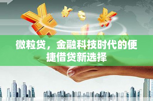 三穗微粒贷，金融科技时代的便捷借贷新选择