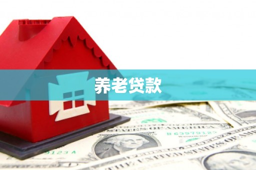 三穗养老贷款