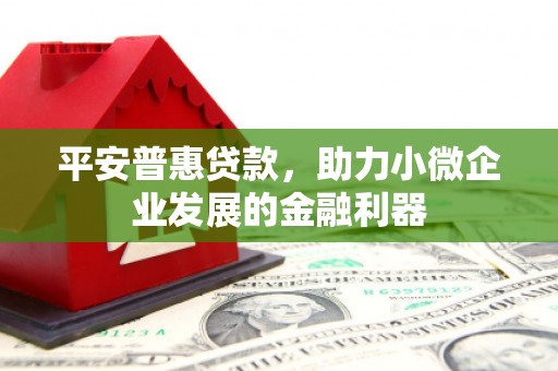 三穗平安普惠贷款，助力小微企业发展的金融利器
