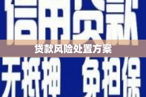 三穗贷款风险处置方案