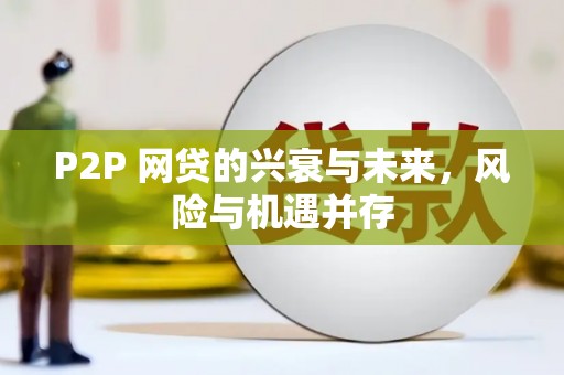 三穗P2P 网贷的兴衰与未来，风险与机遇并存