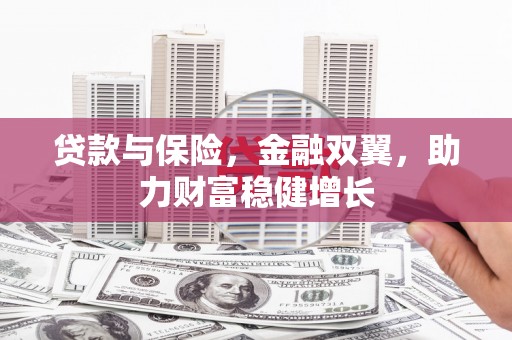 三穗贷款与保险，金融双翼，助力财富稳健增长