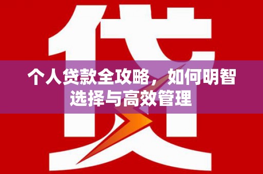 三穗个人贷款全攻略，如何明智选择与高效管理