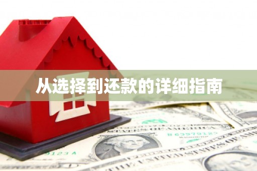 三穗从选择到还款的详细指南