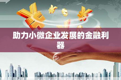三穗助力小微企业发展的金融利器