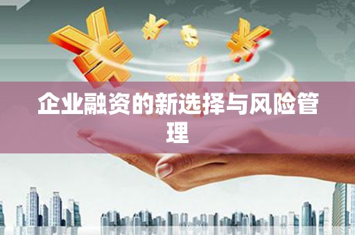 三穗企业融资的新选择与风险管理