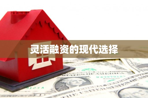 三穗灵活融资的现代选择