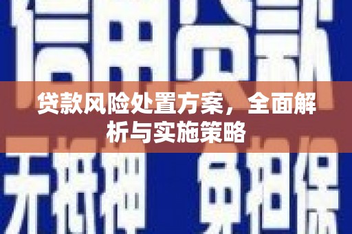 三穗贷款风险处置方案，全面解析与实施策略