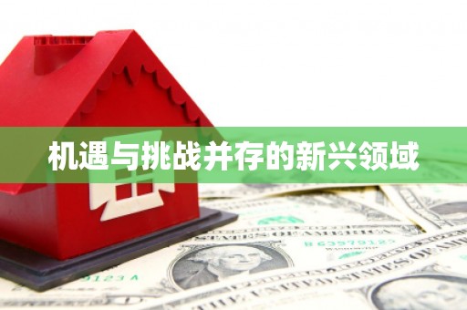 三穗机遇与挑战并存的新兴领域