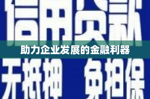 三穗助力企业发展的金融利器