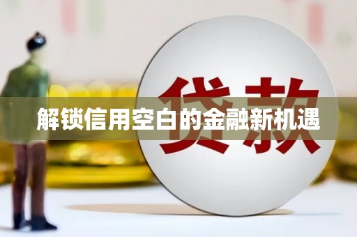 三穗解锁信用空白的金融新机遇