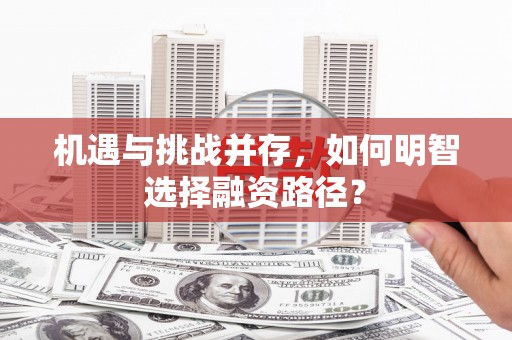 三穗机遇与挑战并存，如何明智选择融资路径？