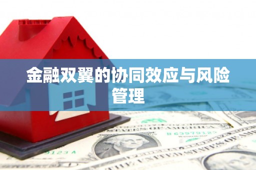 三穗金融双翼的协同效应与风险管理
