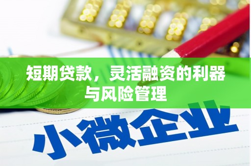 三穗短期贷款，灵活融资的利器与风险管理