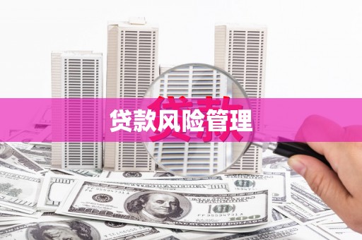 三穗贷款风险管理