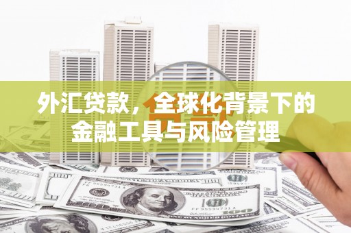 三穗外汇贷款，全球化背景下的金融工具与风险管理