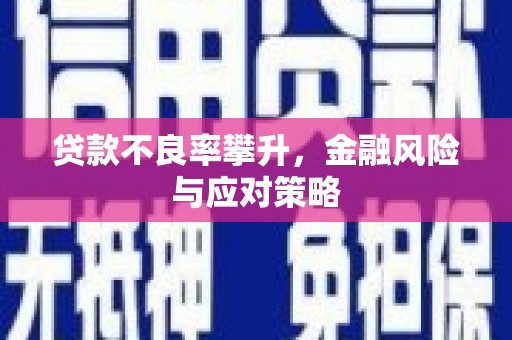 三穗贷款不良率攀升，金融风险与应对策略